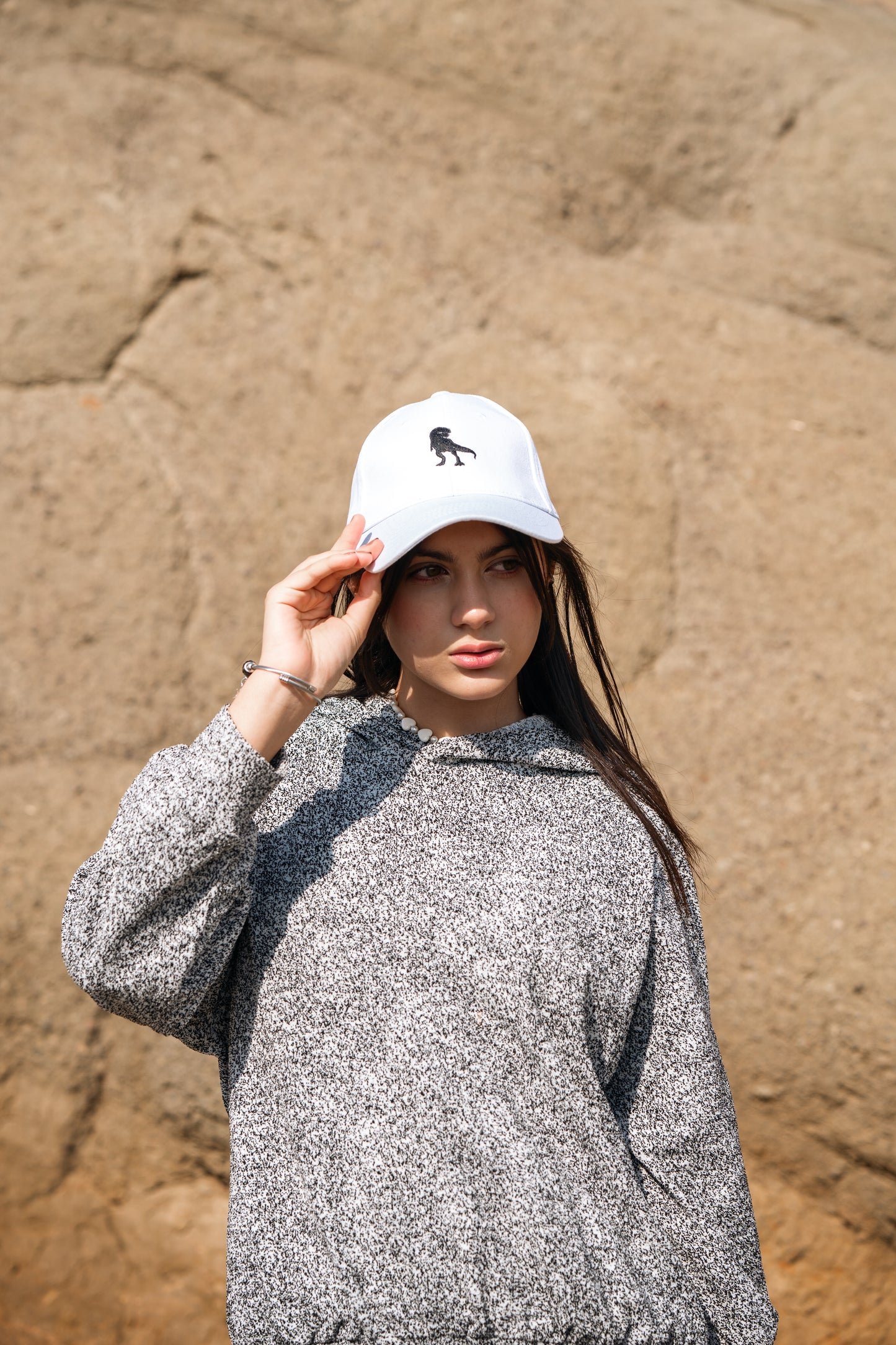 Mehran’s Dinosaurs Cap