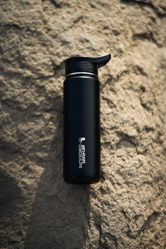 Water Bottle  By Mehran's Dinosaurs
