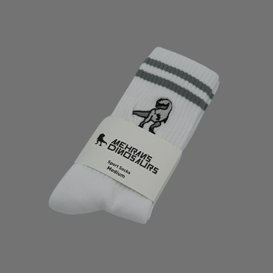 Everyday Socks By Mehran's Dinosaurs