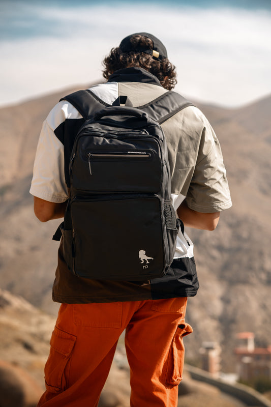 The Everyday Backpack. Laptop & Daily Carry